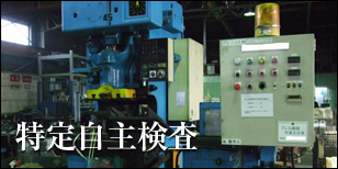 特定自主検査